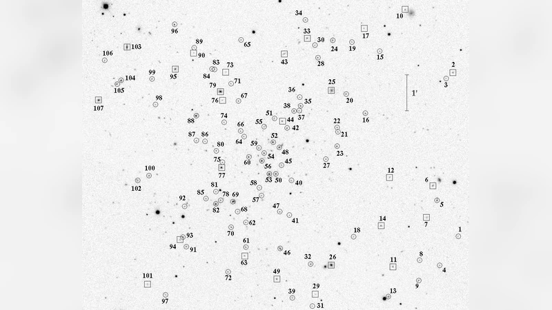 Internal dynamics of the galaxy cluster Abell 959
