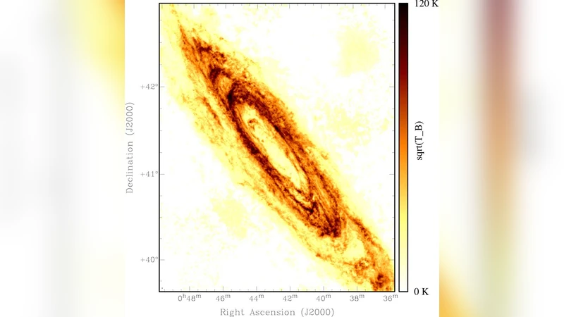 A Wide-field High Resolution HI Mosaic of Messier 31: I. Opaque Atomic   Gas and Star Formation Rate Density
