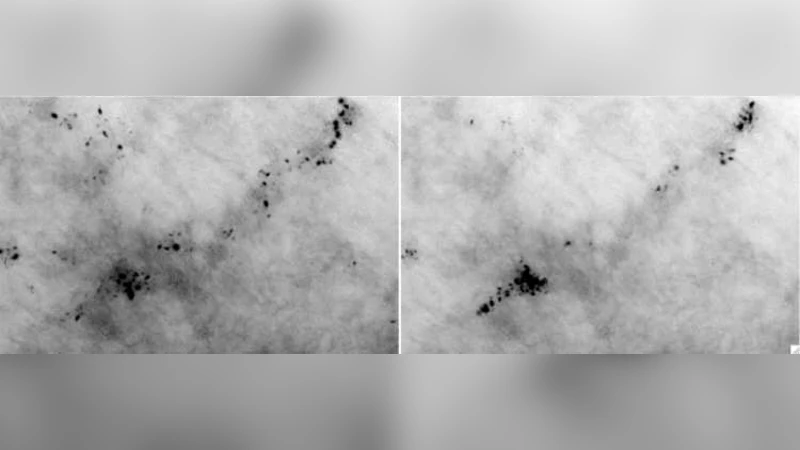 On the fidelity of the core mass functions derived from dust column   density data