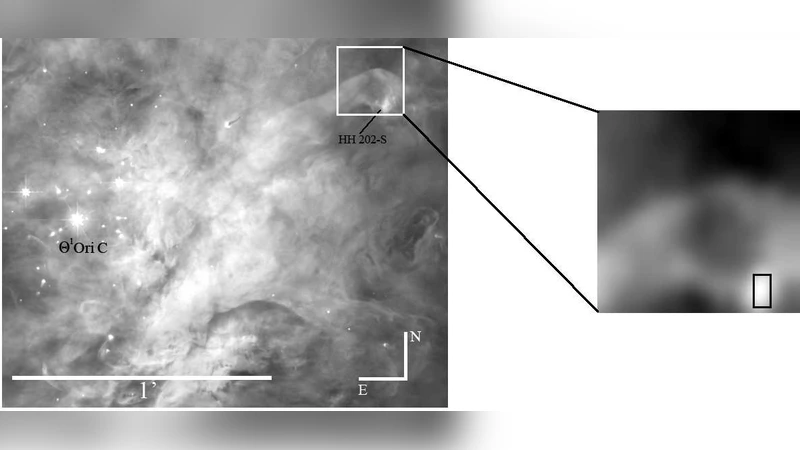 Properties of the ionized gas in HH202. II: Results from echelle   spectrophotometry with UVES