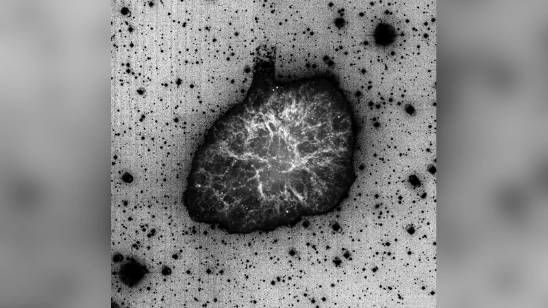 Observational and theoretical constraints for an H$alpha$-halo around   the Crab Nebula