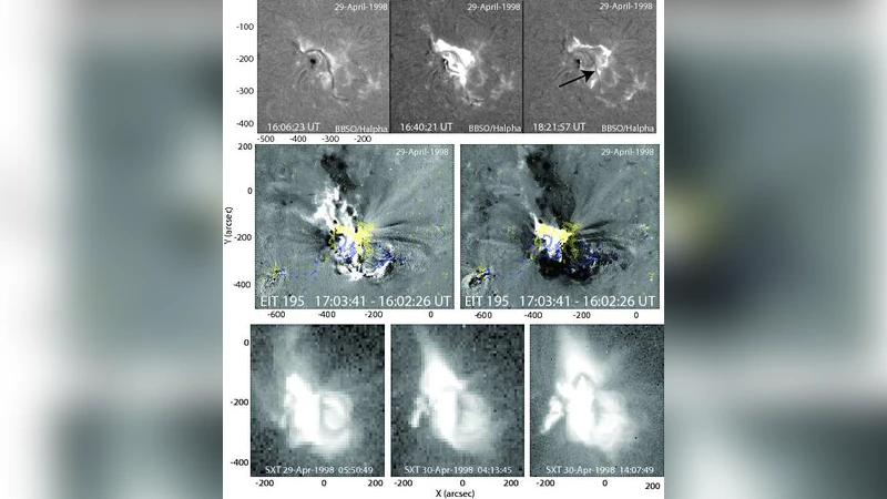 Partially-erupting prominences: a comparison between observations and   model-predicted observables