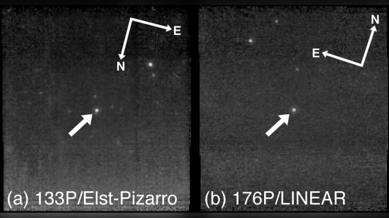 Albedos of Main-Belt Comets 133P/Elst-Pizarro and 176P/LINEAR