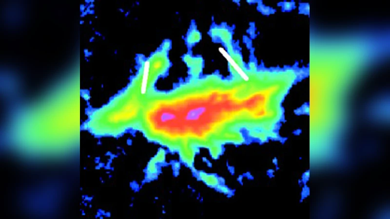 Magnetic fields, stellar feedback, and the geometry of H II Regions