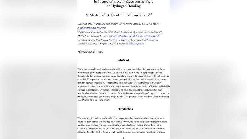 Influence of Protein Electromagnetic Field on Hydrogen Bonding