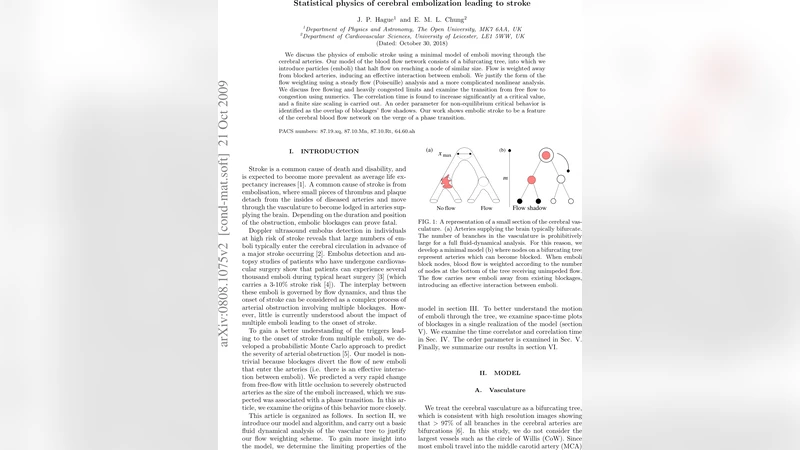 Statistical physics of cerebral embolization leading to stroke