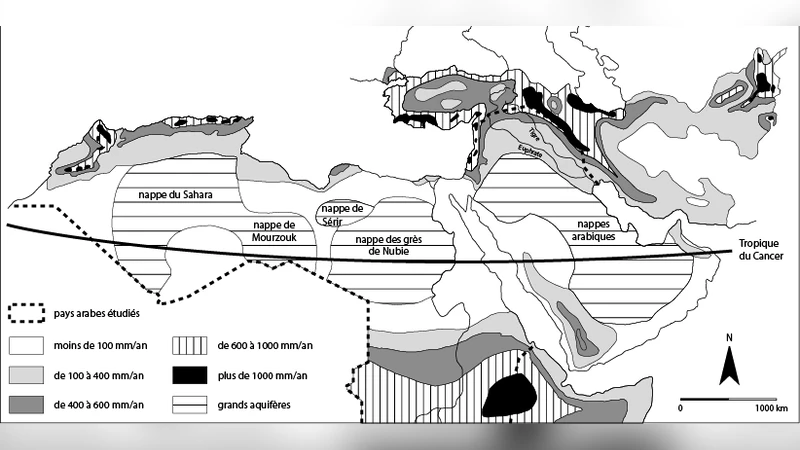 Le monde arabe face aux defis de leau : enjeux et conflits