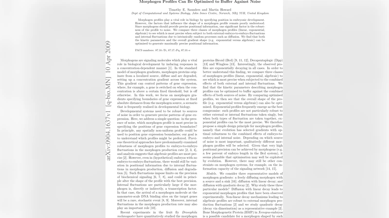 Morphogen Profiles Can Be Optimised to Buffer Against Noise