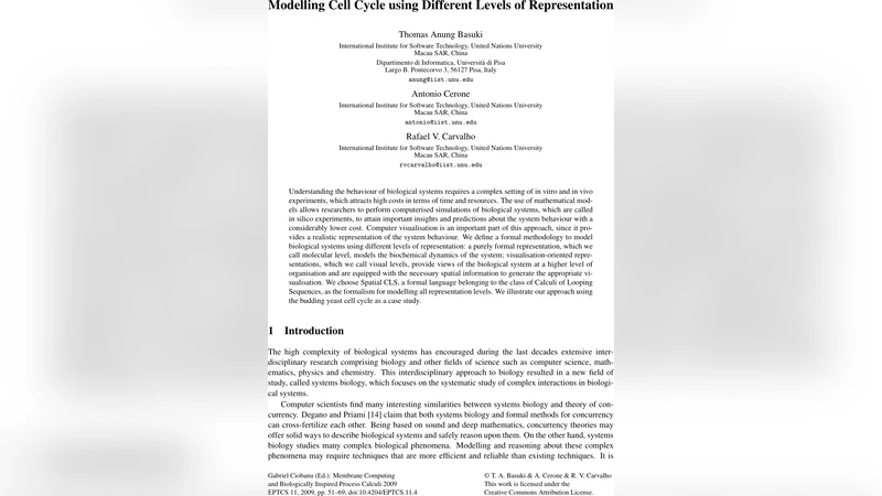 Modelling Cell Cycle using Different Levels of Representation
