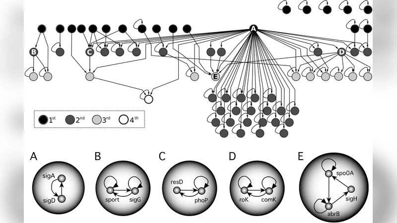 On the basic computational structure of gene regulatory networks