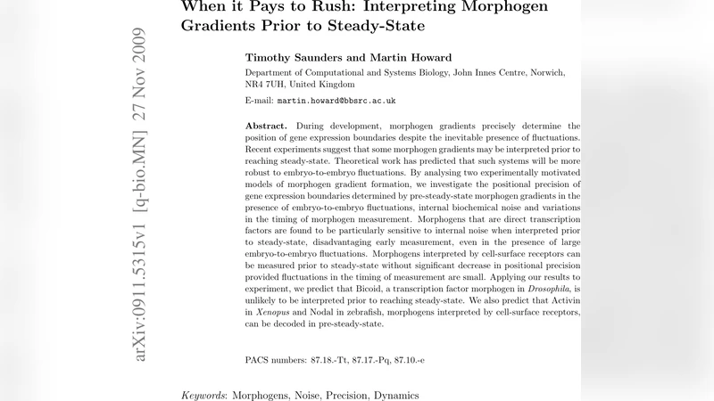 When it Pays to Rush: Interpreting Morphogen Gradients Prior to   Steady-State