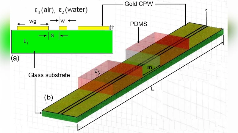 Ex-vivo detection of neural events using THz BioMEMS