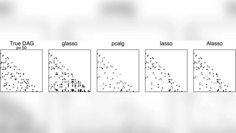 Penalized Likelihood Methods for Estimation of Sparse High Dimensional   Directed Acyclic Graphs