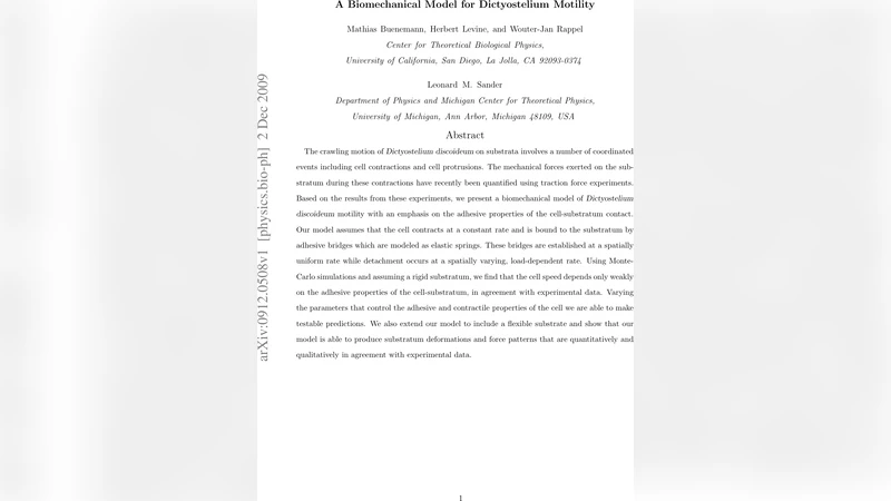 A Biomechanical Model for Dictyostelium Motility