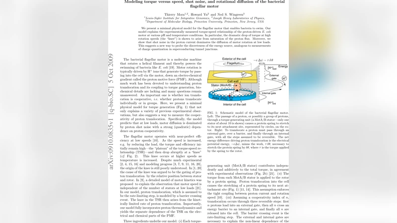 Modeling torque versus speed, shot noise, and rotational diffusion of   the bacterial flagellar motor