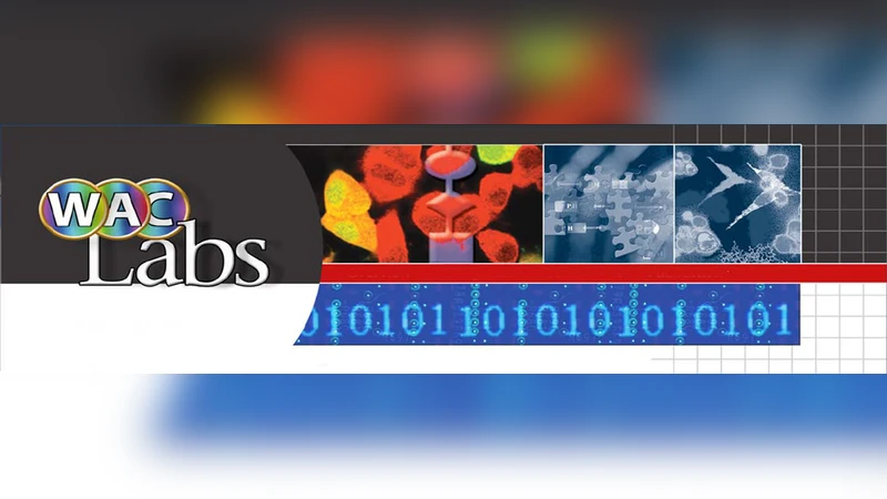Mapping Complex Networks: Exploring Boolean Modeling of Signal   Transduction Pathways