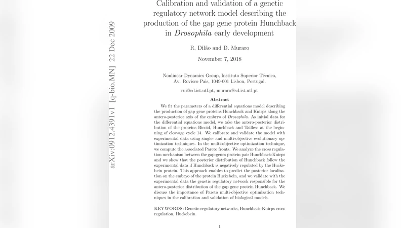 Calibration and validation of a genetic regulatory network model   describing the production of the gap gene protein Hunchback in   emph{Drosophila} early development