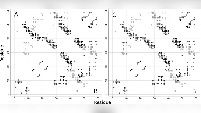 Lymphotactin: how a protein can adopt two folds