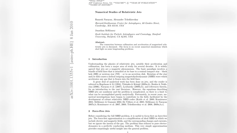 Numerical Studies of Relativistic Jets