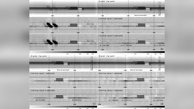 The Extremely Luminous Supernova 2006gy at Late Phase: Detection of   Optical Emission from Supernova