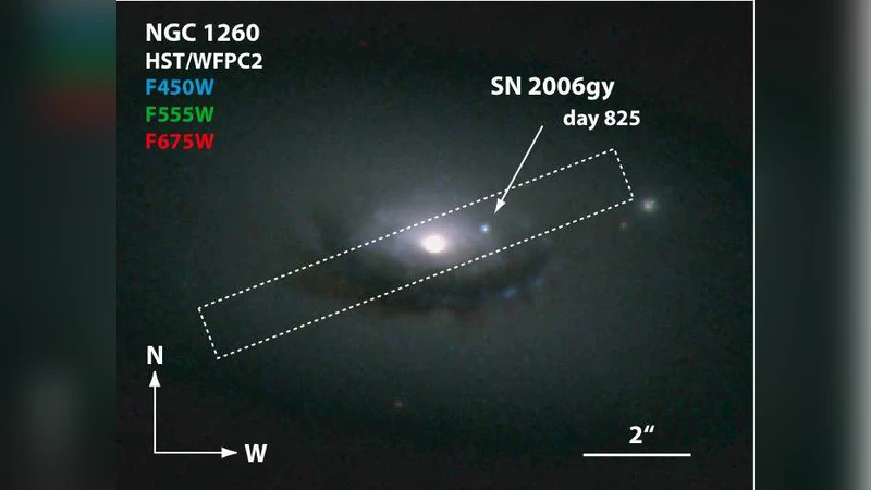 Spectral Evolution of the Extraordinary Type IIn Supernova 2006gy