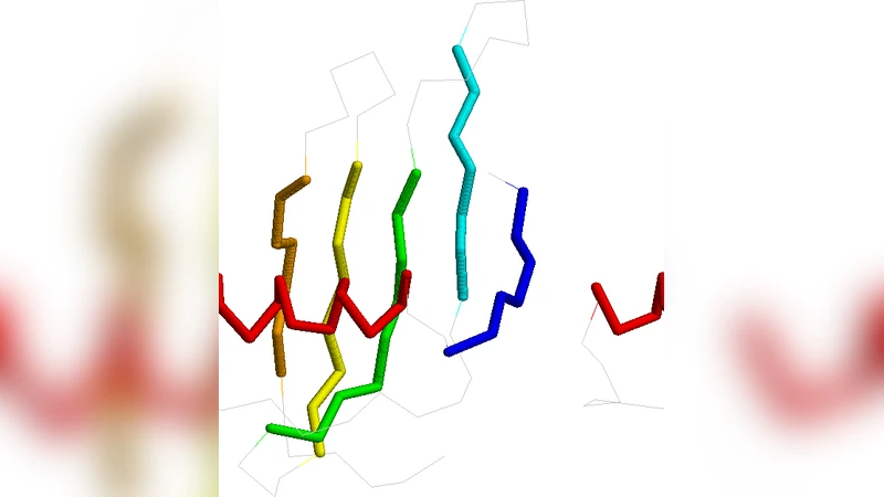 Hydropathy Conformational Letter and its Substitution Matrix HP-CLESUM:   an Application to Protein Structural Alignment