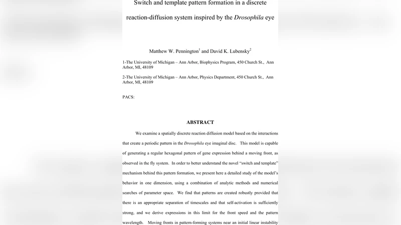Switch and template pattern formation in a discrete reaction diffusion   system inspired by the Drosophila eye