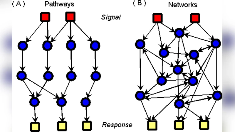 Systems biology: From the cell to the brain