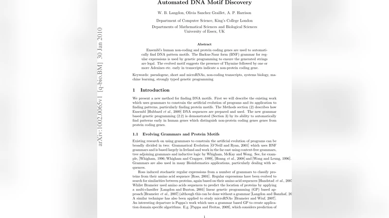 Automated DNA Motif Discovery