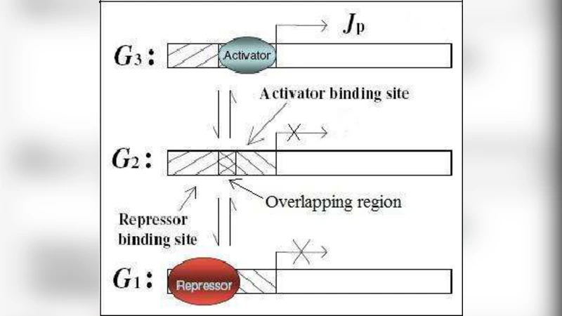 Conversion of graded to binary response in an activator-repressor system