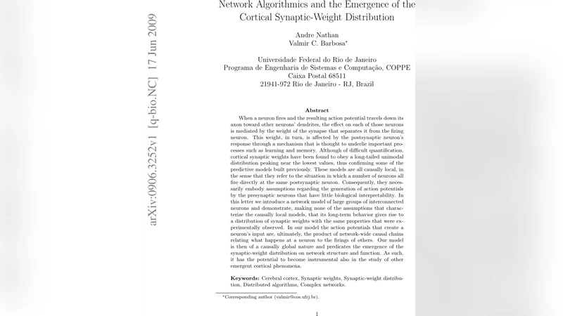 Network algorithmics and the emergence of the cortical synaptic-weight   distribution