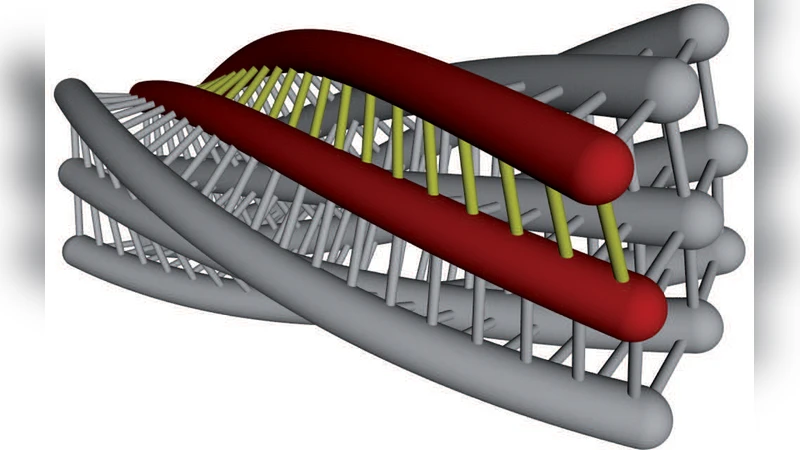 Statics and Dynamics of the Wormlike Bundle Model