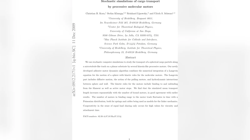 Stochastic simulations of cargo transport by processive molecular motors