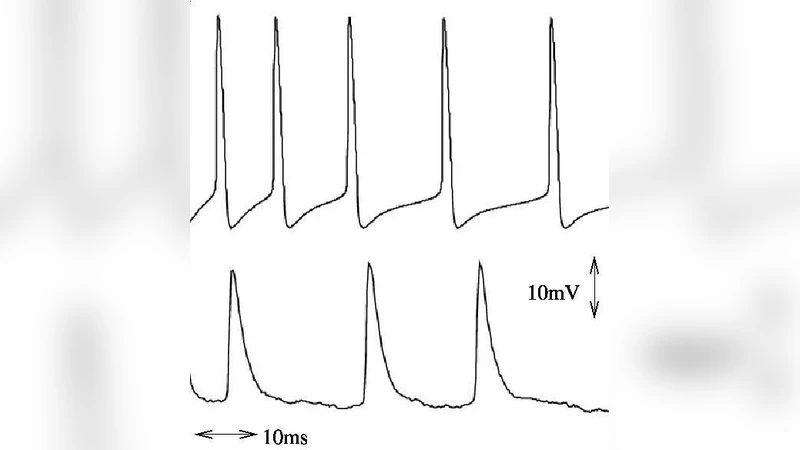 Discovery of a broad iron line in the black-hole candidate Swift   J1753.5-0127, and the disk emission in the low/hard state revisited