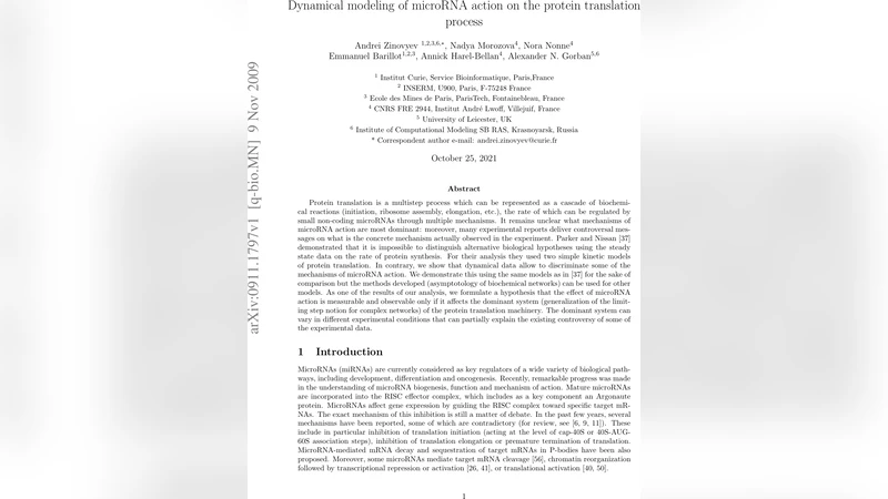 Dynamical modeling of microRNA action on the protein translation process