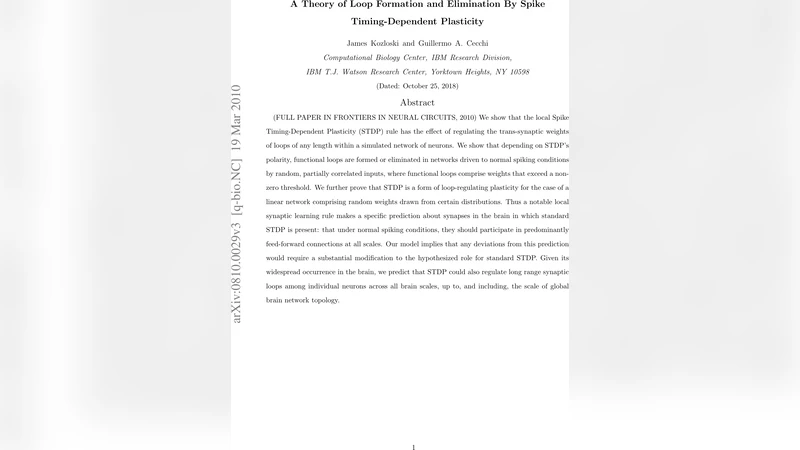 Topological Effects of Synaptic Time Dependent Plasticity