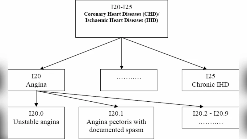 Ontology-supported processing of clinical text using medical knowledge   integration for multi-label classification of diagnosis coding