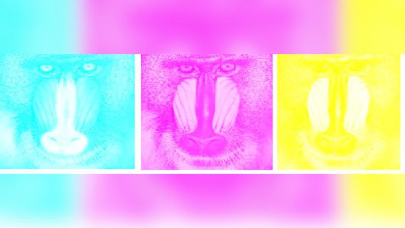 New Visual Cryptography Algorithm For Colored Image