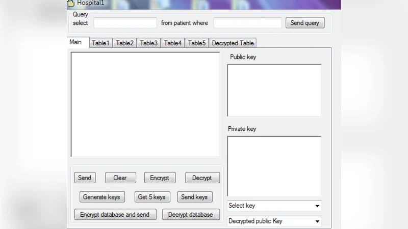 Preserving Privacy and Sharing the Data in Distributed Environment using   Cryptographic Technique on Perturbed data