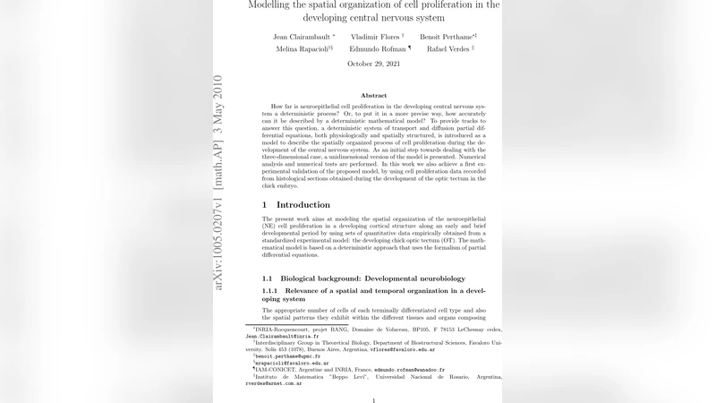 Modelling the spatial organization of cell proliferation in the   developing central nervous system