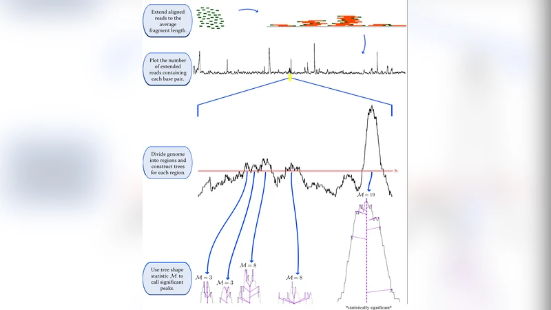Shape-based peak identification for ChIP-Seq