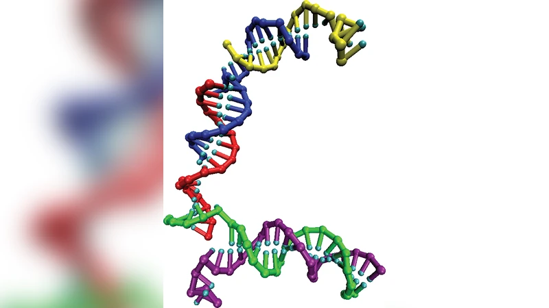 DNA nanotweezers studied with a coarse-grained model of DNA