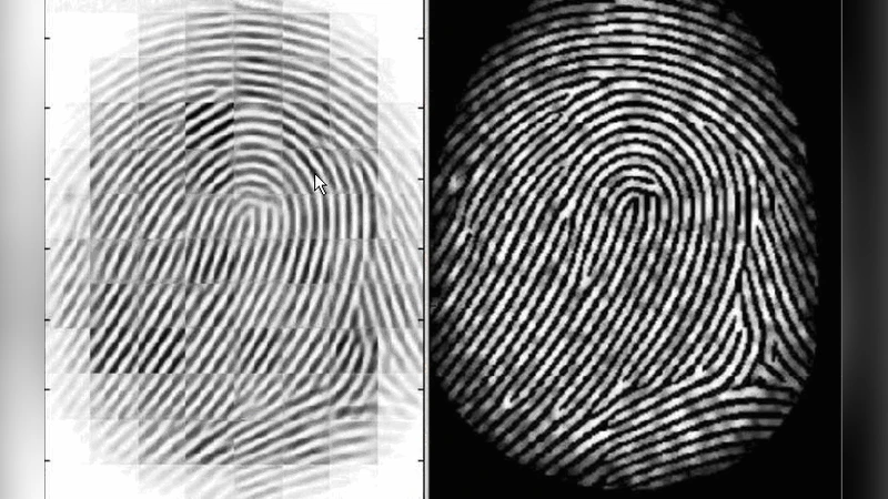 Bio-Authentication based Secure Transmission System using Steganography