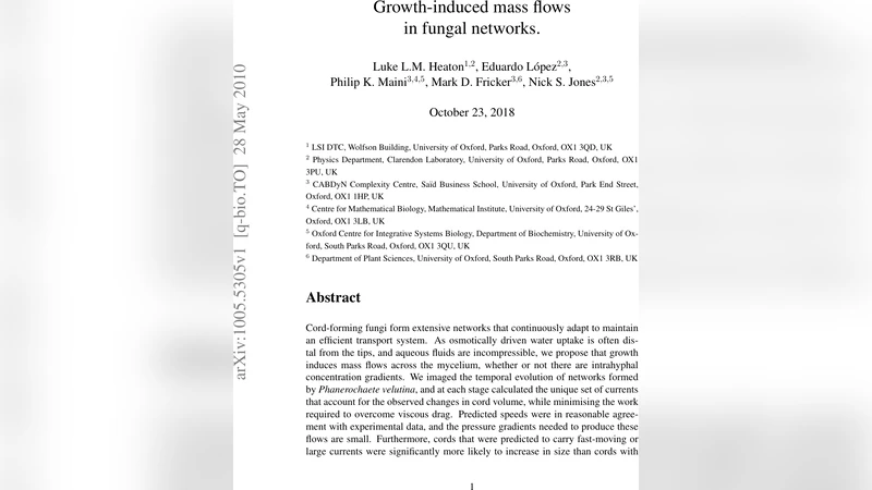 Growth-induced mass flows in fungal networks