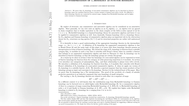 An interpretation of E_n-homology as functor homology