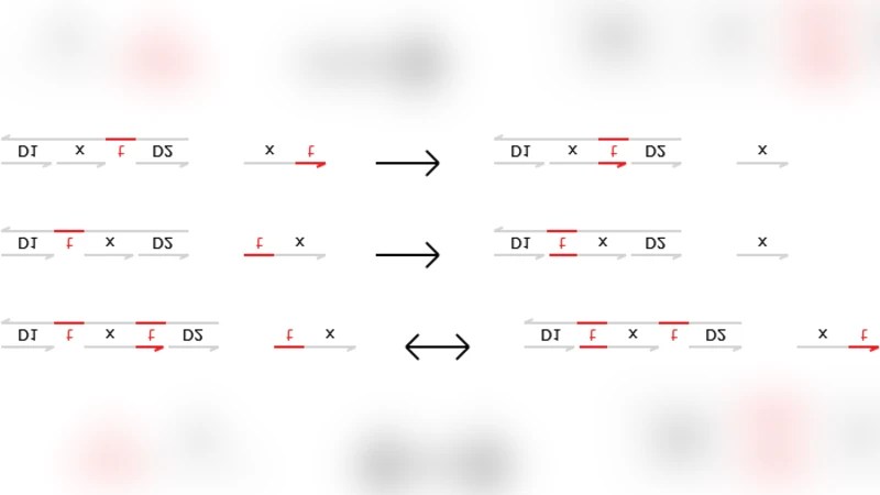 Two-Domain DNA Strand Displacement