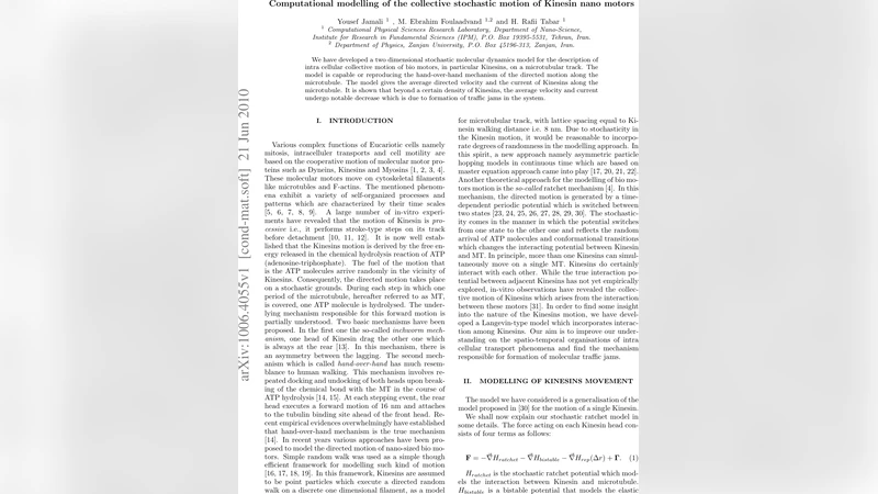 Computational modelling of the collective stochastic motion of Kinesin   nano motors
