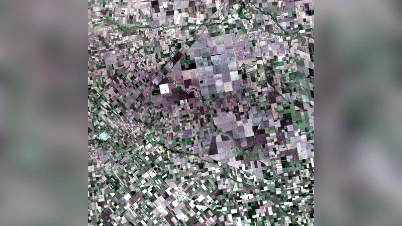 Large gaps imputation in remote sensed imagery of the environment
