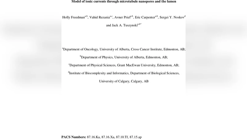 Model of ionic currents through microtubule nanopores and the lumen