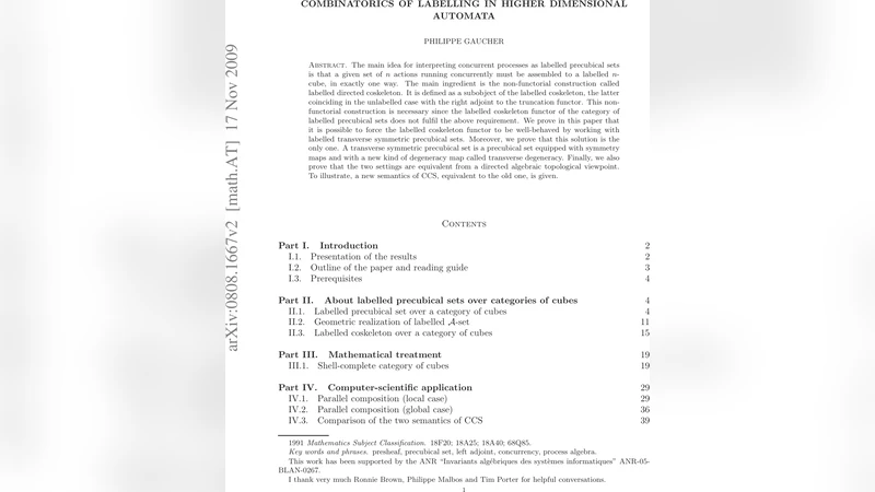 Combinatorics of labelling in higher dimensional automata